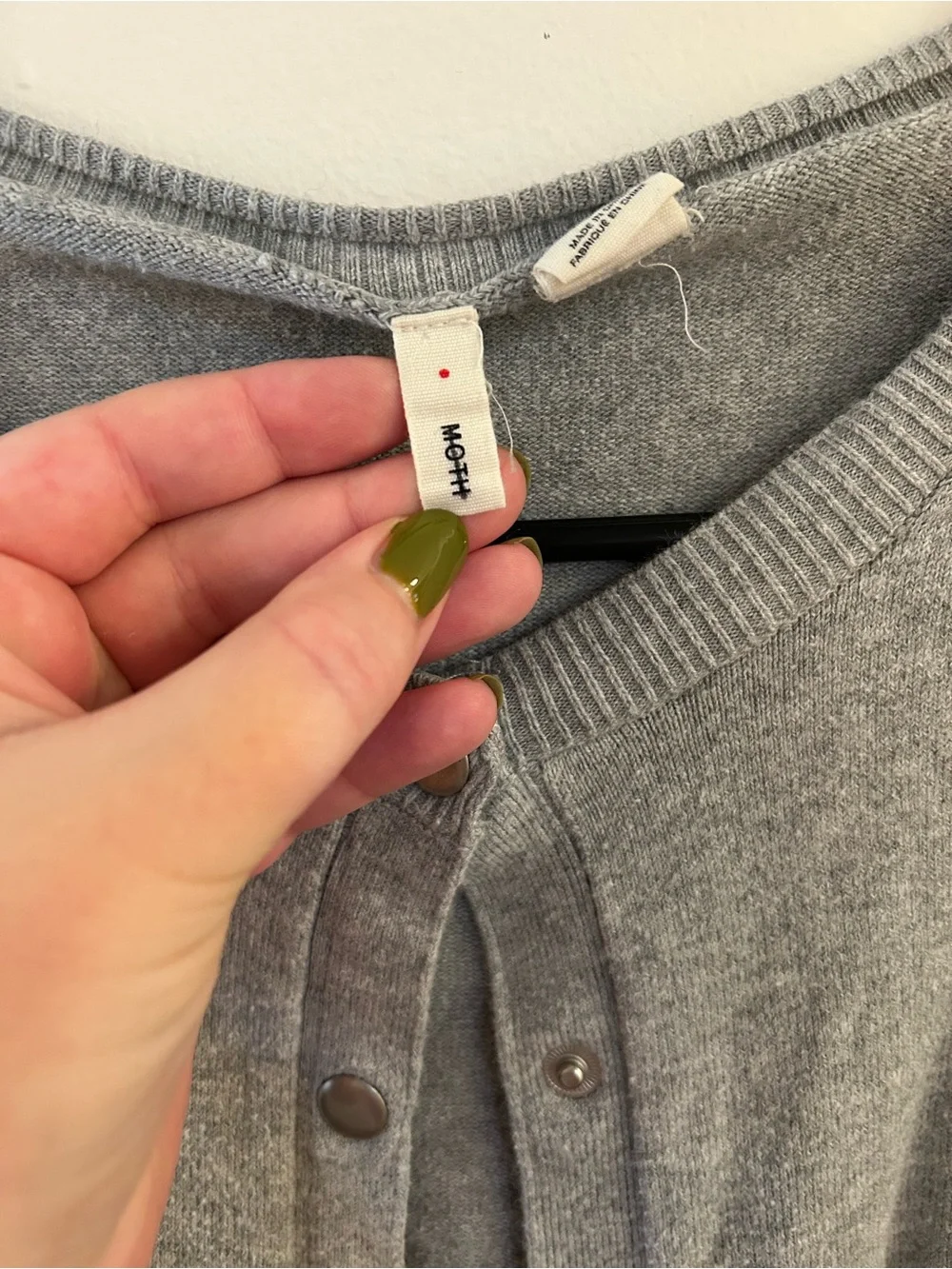 Moth light gray